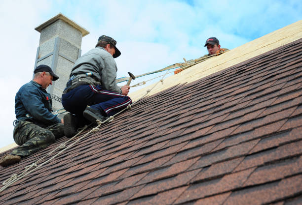 Quick and Trustworthy Emergency Roof Repair Services in Northglenn, CO